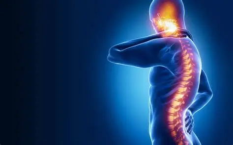 Spinal Cord Injury Rehabilitation