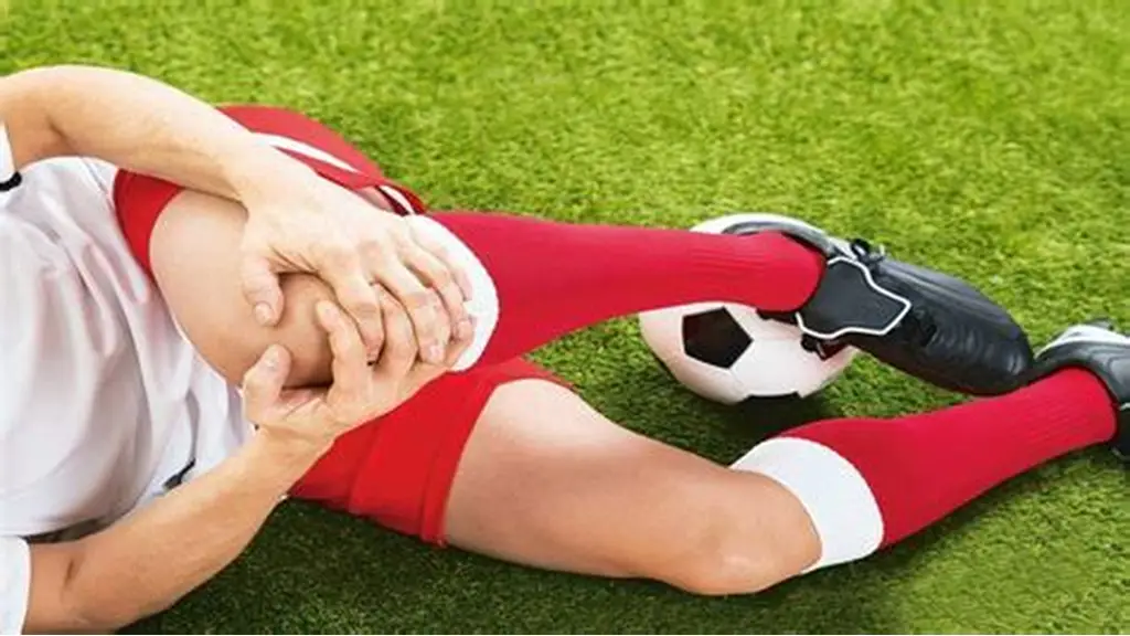 Sports Injury Rehabilitation